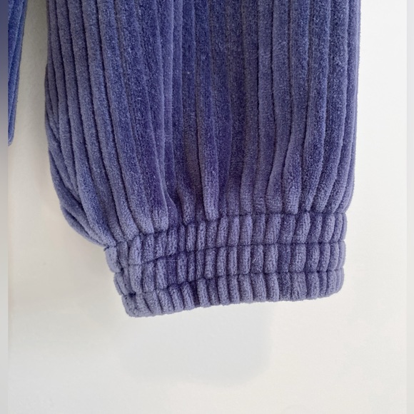 aerie | Groove-On Velour Hoodie - Picture 4 of 8